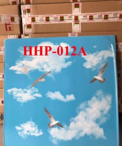 Tấm thả nhựa HHP-012A