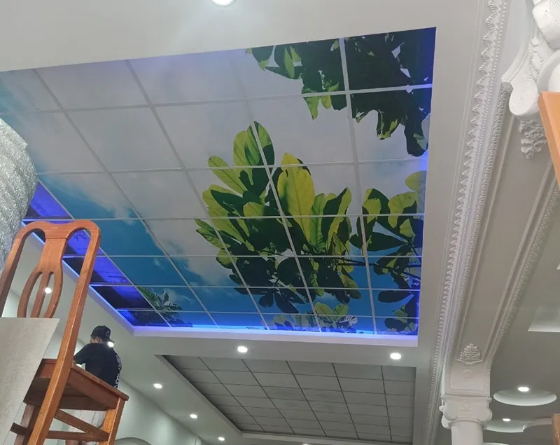 Mẫu trần nhựa thả 3D 2