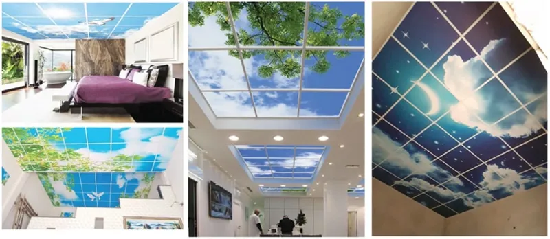 Mẫu trần nhựa thả 3D 5