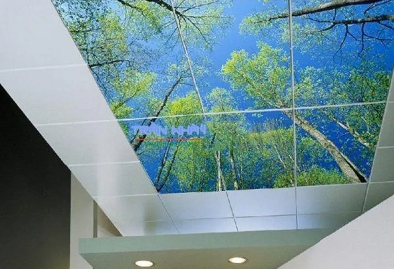 Mẫu trần nhựa thả 3D 6