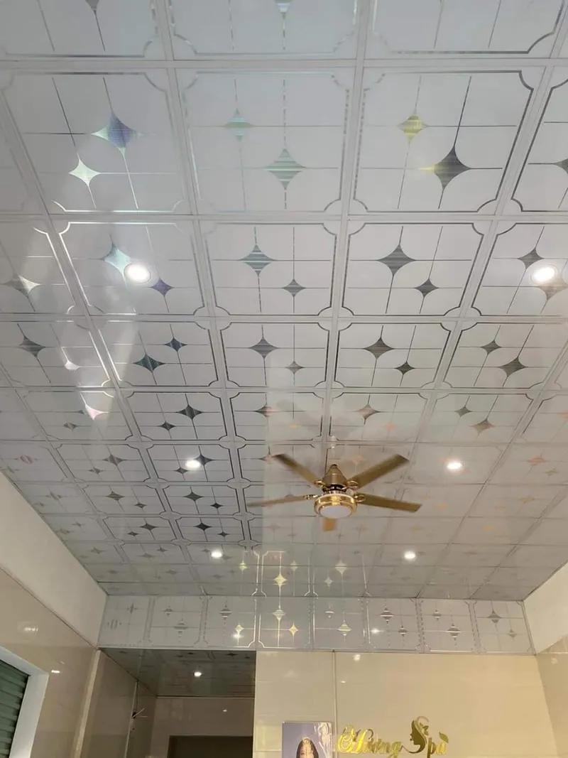 Mẫu trần nhựa thả hoàn thiện 8