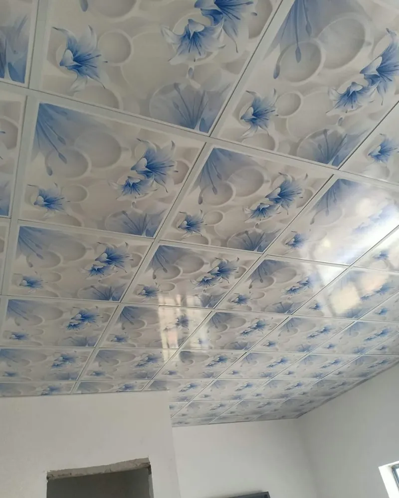 Mẫu trần thả nhựa đơn giản 1