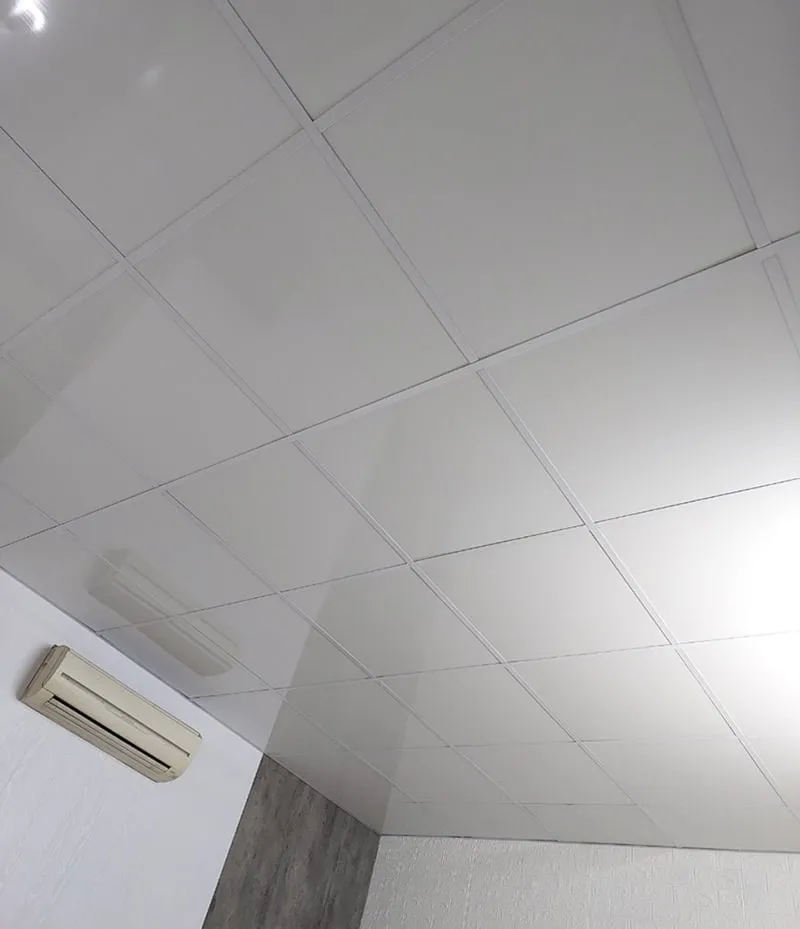 Mẫu trần thả nhựa đơn giản 2