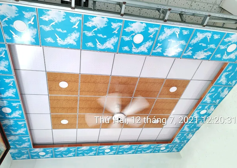 Mẫu trần thả nhựa giật cấp 2
