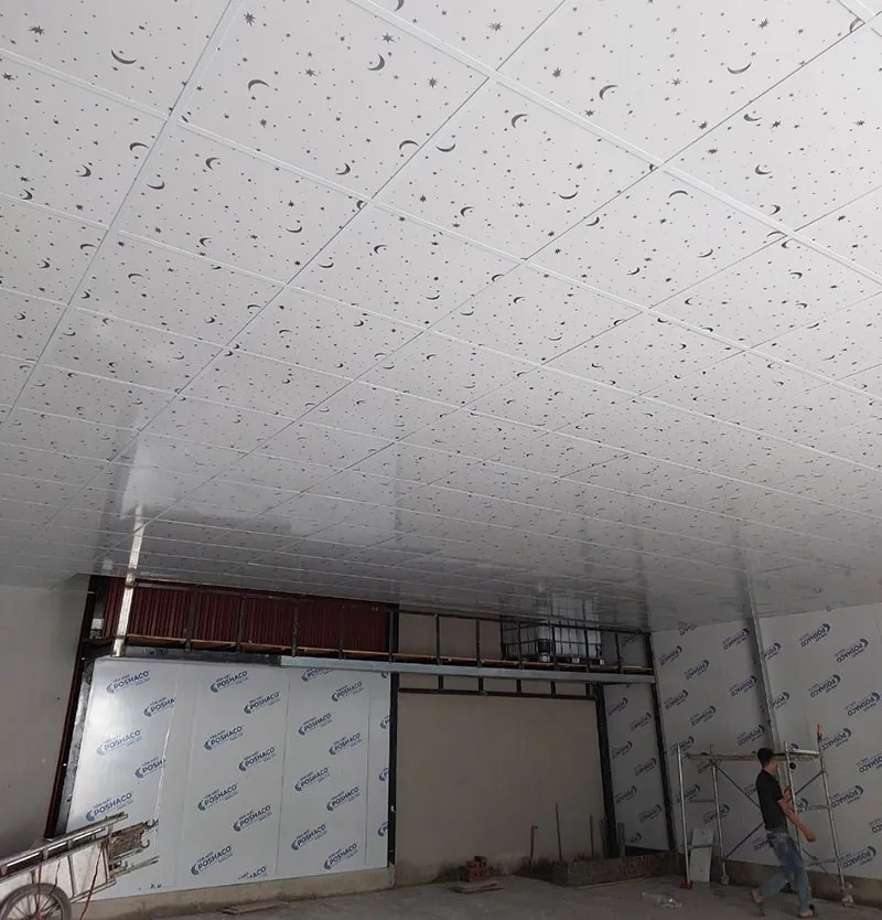 Trần thả nhựa là gì