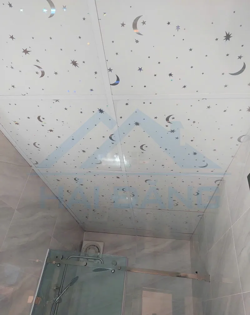 Mẫu trần nhựa thả nhà vệ sinh, nhà tắm