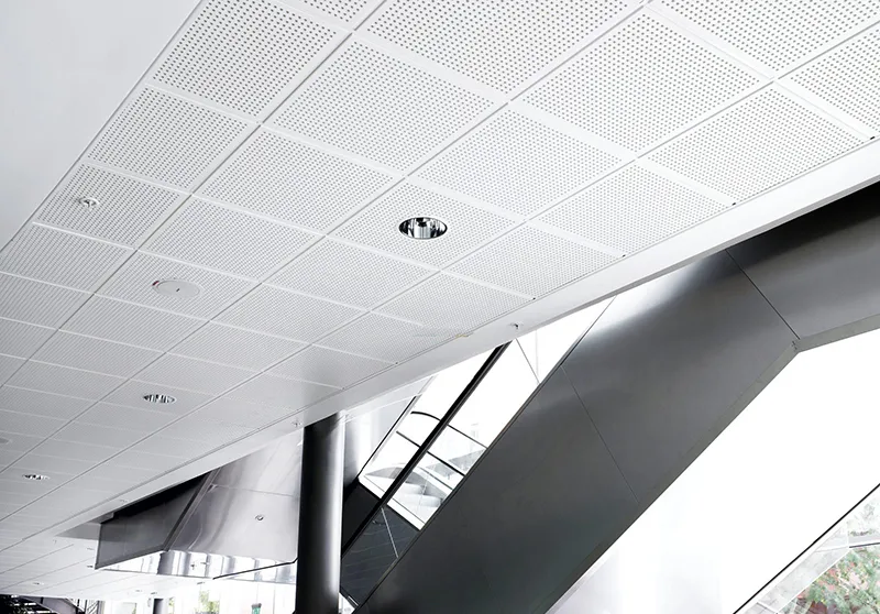 Trần thạch cao thả đục lỗ tiêu âm