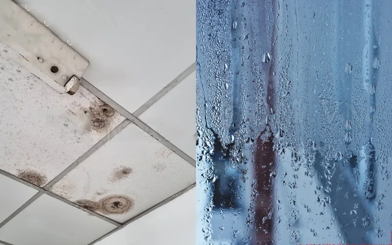 Trần thạch cao thả bị thấm nước